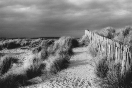 Dunes - West Wittering