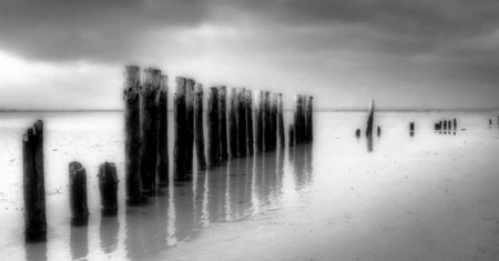 Groynes - West Wittering