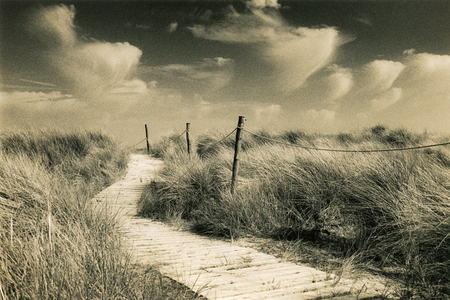 Winding Path - West Wittering